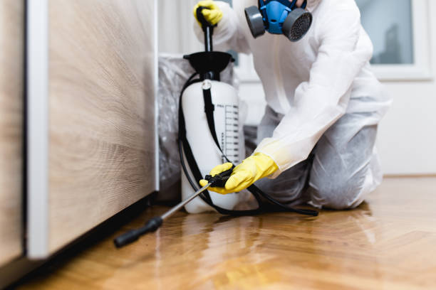 Best Insect Control  in Atkins, VA