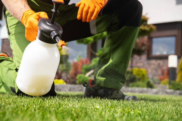 Best Affordable Pest Control Services  in Atkins, VA