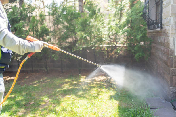 Best Wasp Removal Services  in Atkins, VA