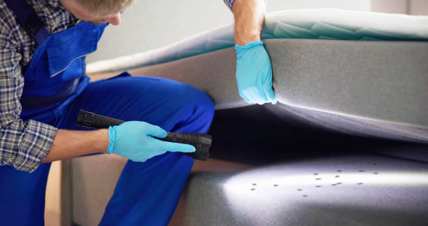 Professional Pest Control in Atkins, VA