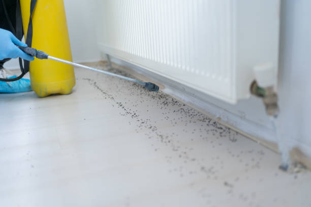 Best Cockroach Control Services  in Atkins, VA