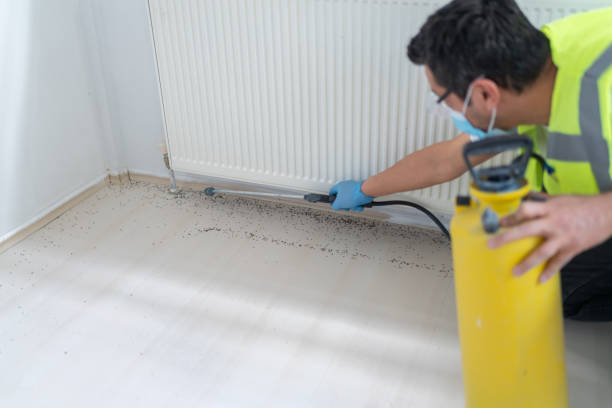 Best Pest Prevention Services  in Atkins, VA