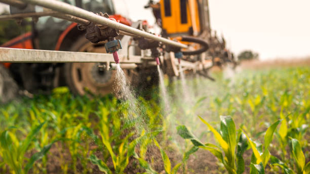 Best Commercial Pest Control Services  in Atkins, VA